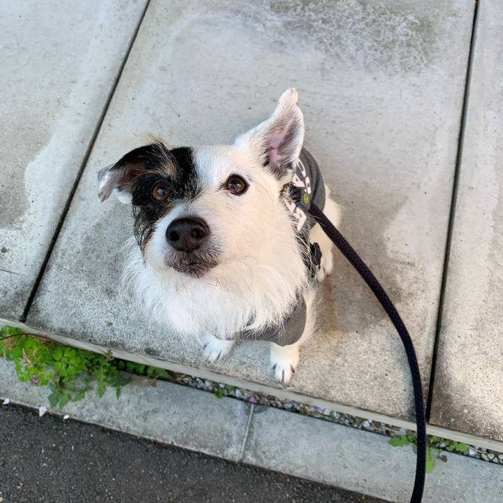 441b0907 2b39 47b9 a8d7 973d7278583c 1681001845036