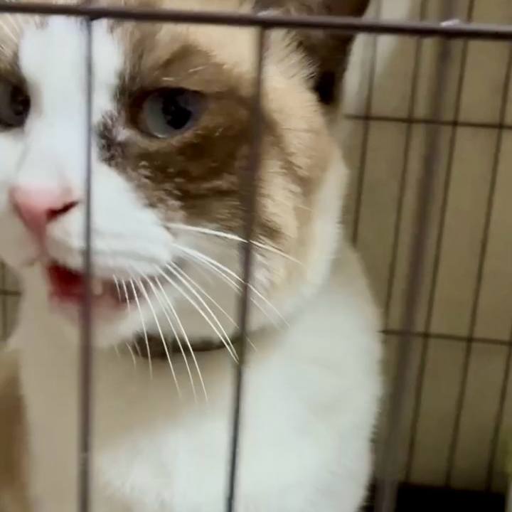 441b107f 50c6 4df5 8411 1570aed8a00e 1763289808239