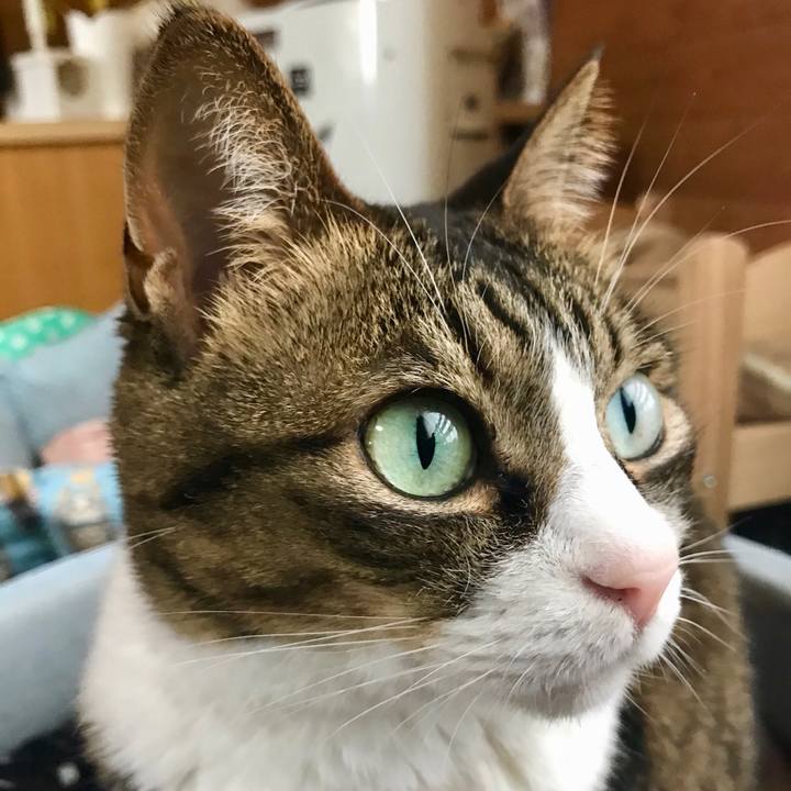 441b7134 fd72 4e34 be83 7742886b31dd 1522483906829