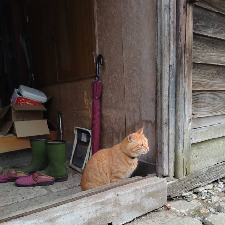 441b7e84 d4b5 4c8e 88f7 8957159dc950 1664574241797