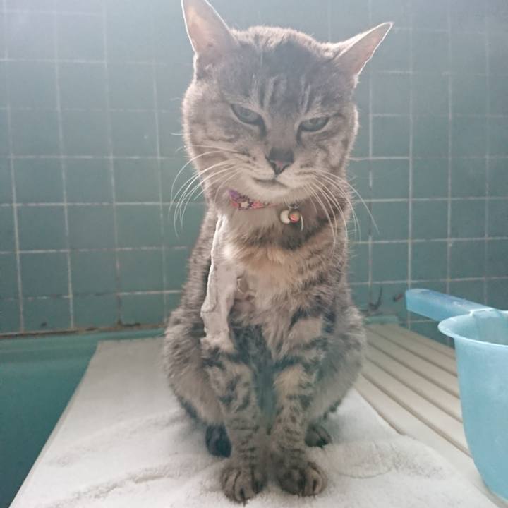 441b8f1d e0d6 4709 8e28 1c68622b2af7 1587891762751