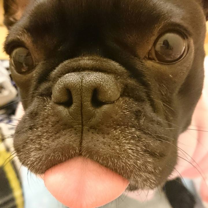 441c2a95 eeb6 426a a757 c182b2ea1f24 1515934646930