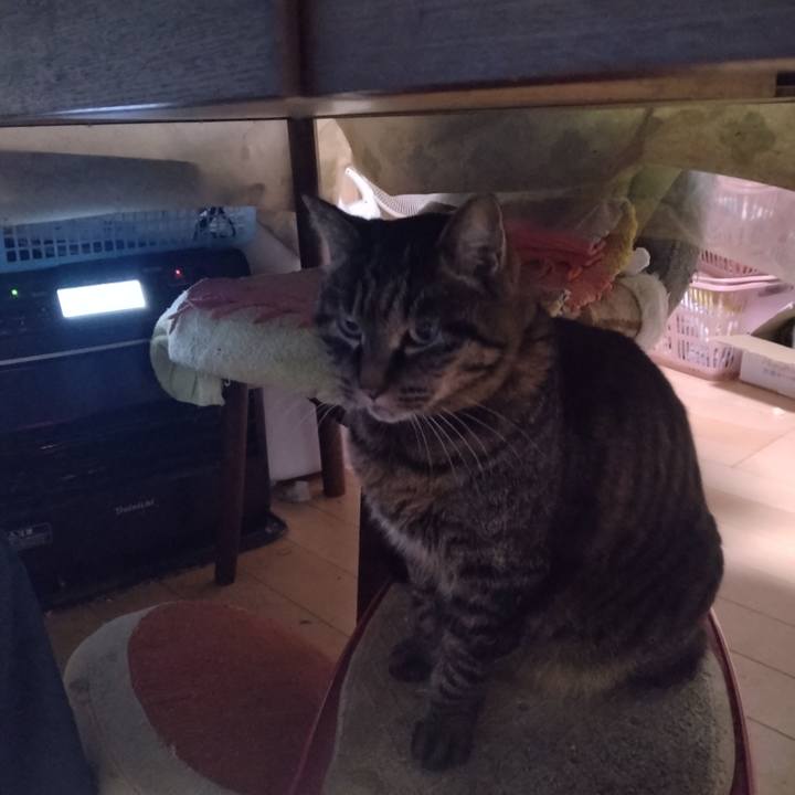 441c49ad 8994 46cd a4cb 73c7b1b06365 1766175792106