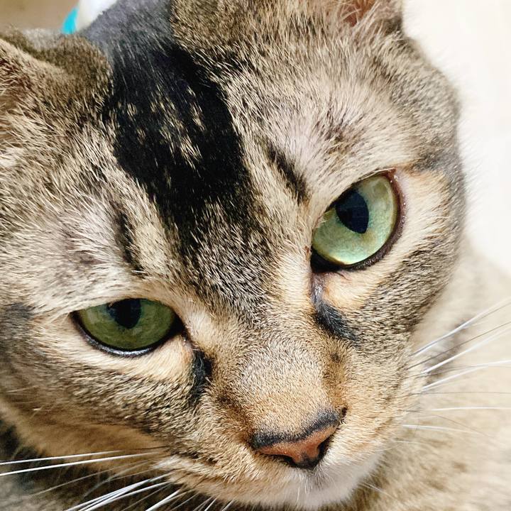 441c8e19 d5f1 4d52 a79a ceaa7d92686e 1738481165631