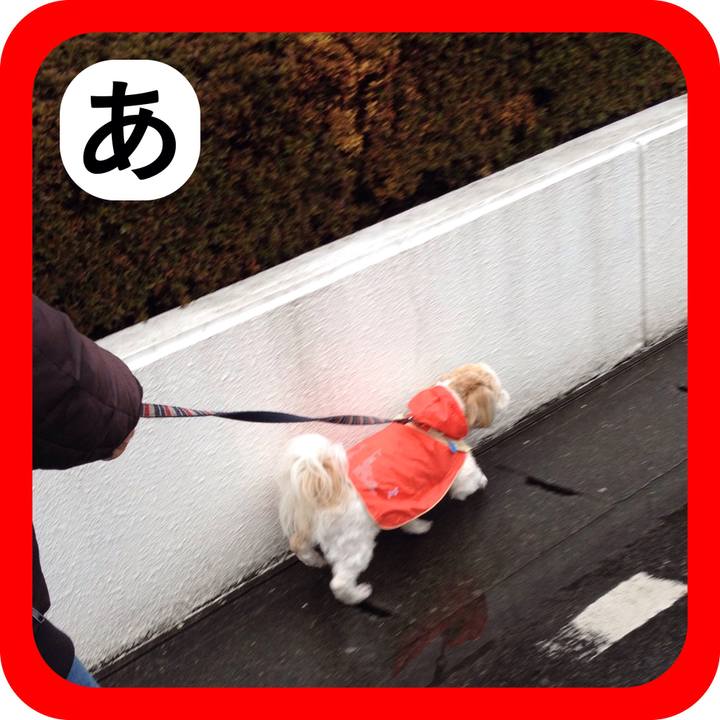 441c9086 6250 4d14 89f5 fae2f9351fb0 1515212330294