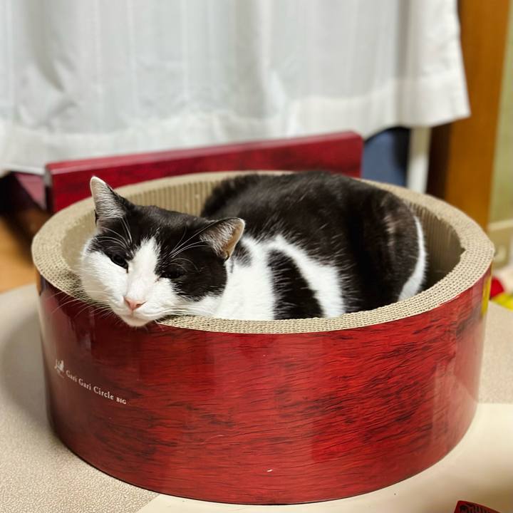 441c956b 5b52 421d aa65 c888b6de12bc 1679018803791