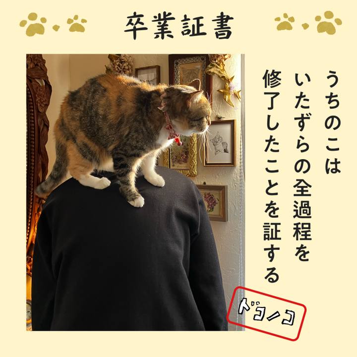 441cd4eb 1535 45db a3c1 55a80f7b890c 1771822703161