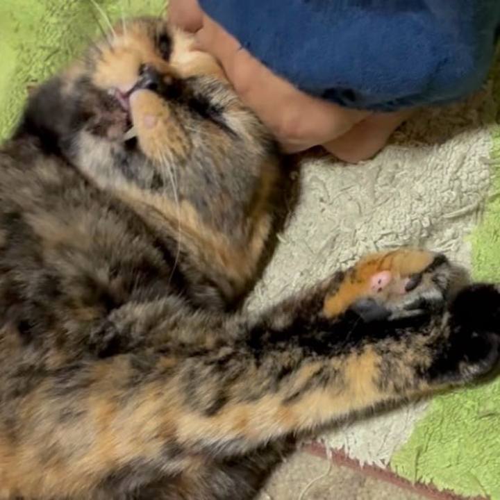 441cec9f 1388 41c3 b7c9 f6f391dbb3c8 1756499633071