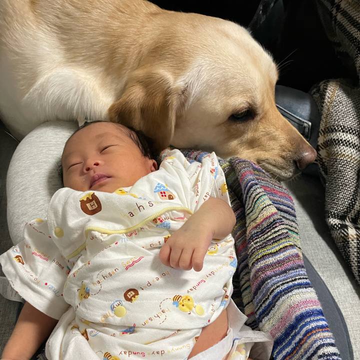 441cf068 85c3 4e76 bb20 be35ab1cadd6 1712623508562