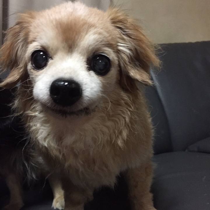 441cf3ef fdcb 4eb3 9a4c 493a549daeab 1513487090550