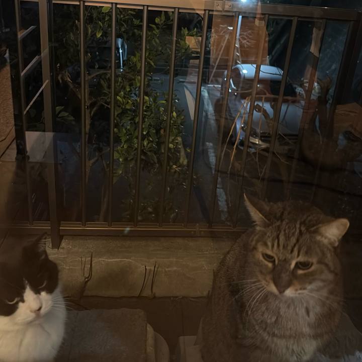 441d06cd ca01 4e77 aac2 47b3ca485b74 1772375419559