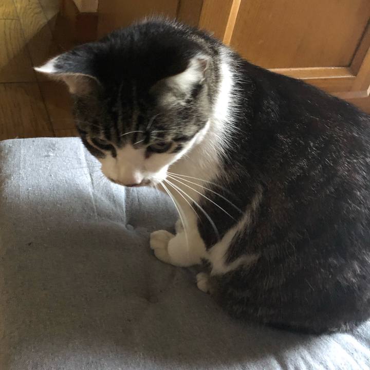 441d3765 ec6e 404e 8725 276bd319cd79 1592825974662