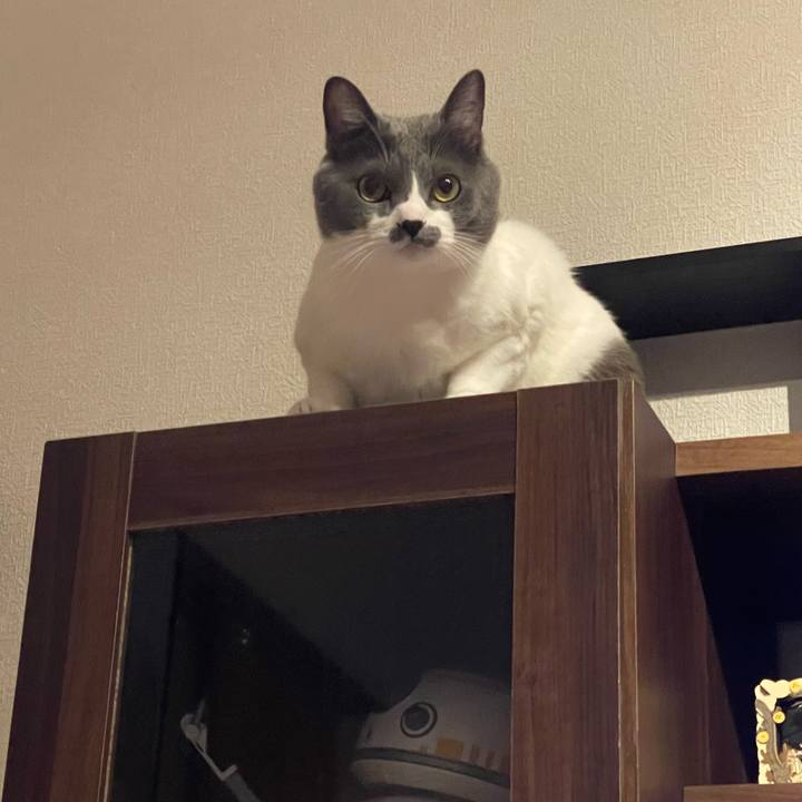 441d437d 6696 4111 86ec 70517f6aeb99 1665566226610