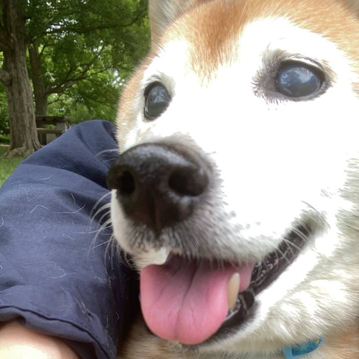 441d4adc 383f 4056 92f1 966df82c79ff 1747989769332