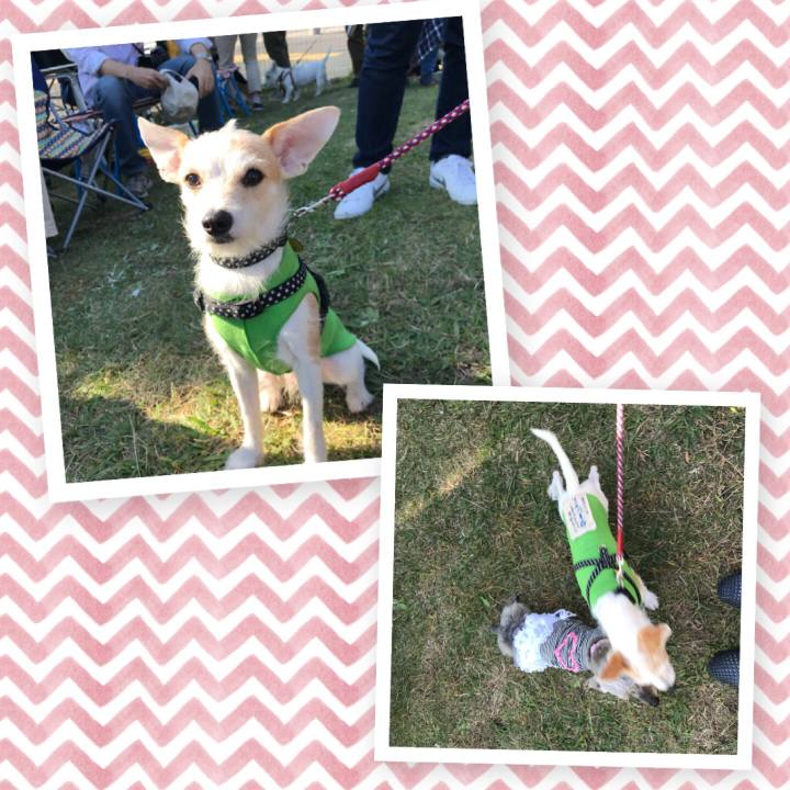 441d5fb8 2137 4cce 9df9 fefd9ee38729 1509698533851