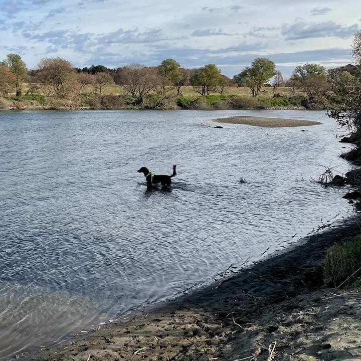 441d640d a393 4b8f 863d 509d251c5be3 1608423858346