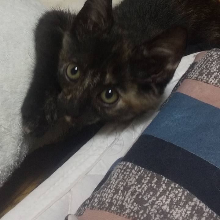 441d6d30 131f 4a45 bf79 5134925342b6 1721039685850