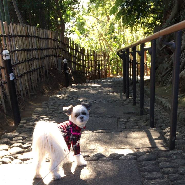 441d7992 ad99 4851 8cf3 0e7580807619 1515650569446