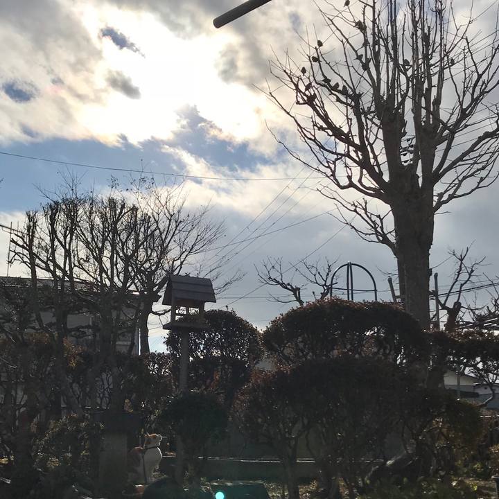 441d85d6 7fa3 41b6 8ae2 92a6c1c771bf 1513744867346