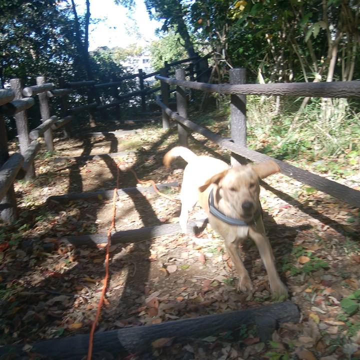 441d905c 7a70 44d0 8afb d7dd80ae09ae 1511246070039