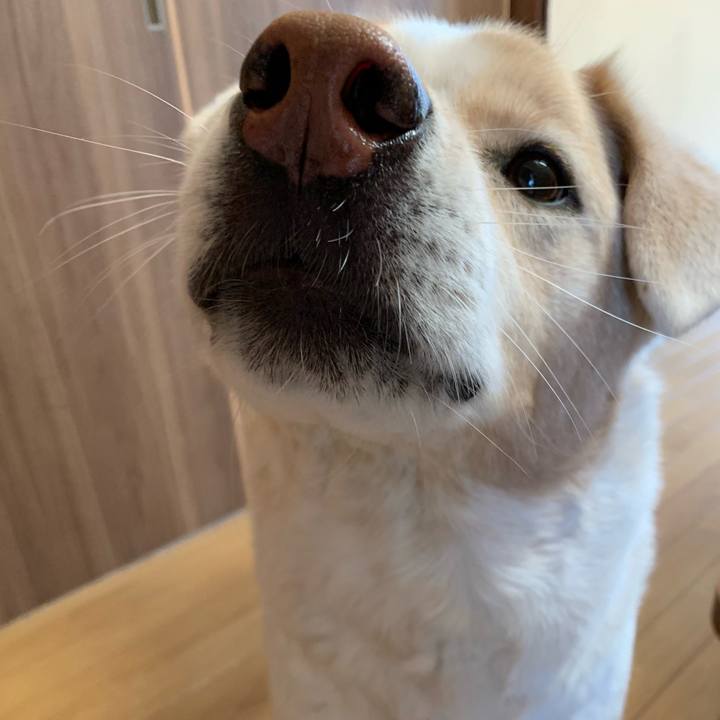 441d9a02 03c1 4009 b503 626b5f419902 1581388112734