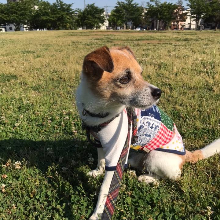 441dcba8 73d6 458f 9b6f 56dbefae8ba4 1558738784793