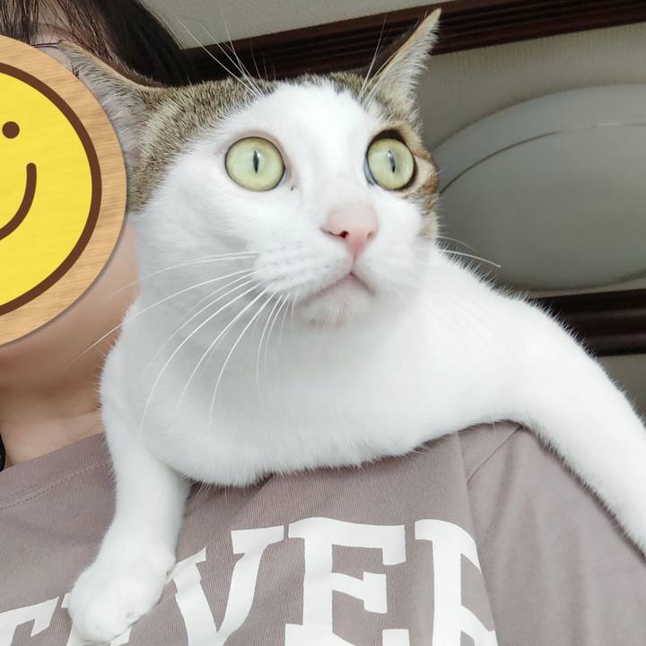 441e1957 e42d 442e b250 9c2b00b53ae8 1726375023323