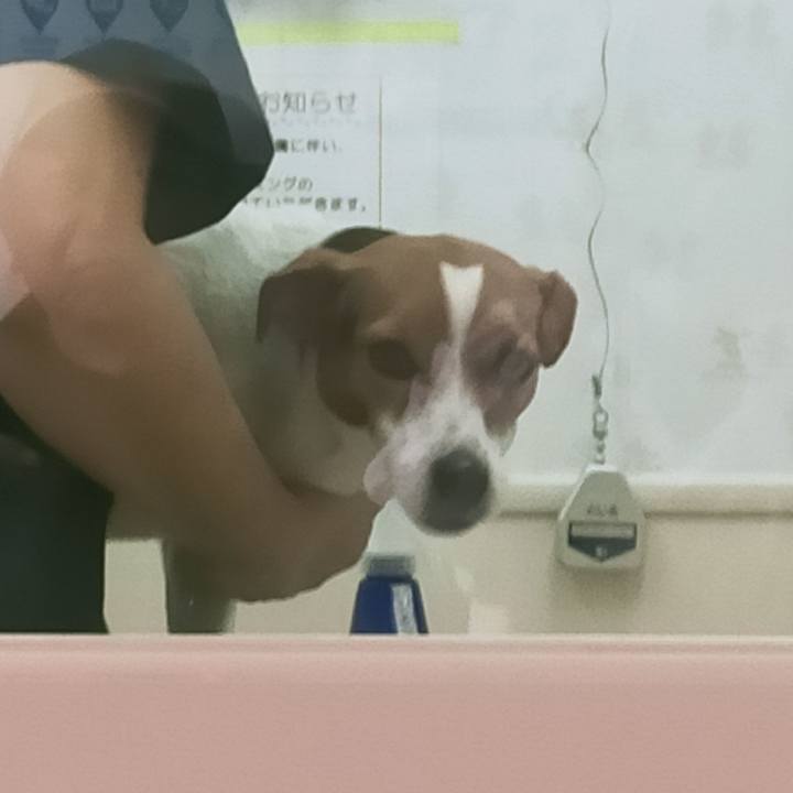 441e4001 9f57 41e1 8dc8 3f0c9eed3a73 1762589604829