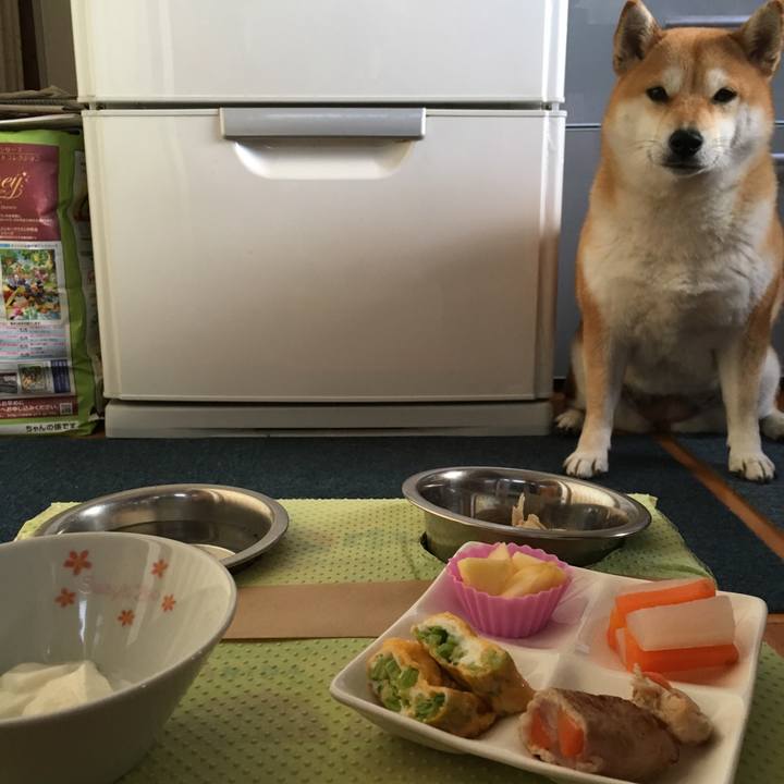 441e4f66 2d84 4f75 be2a 2636a09f635d 1514768148470