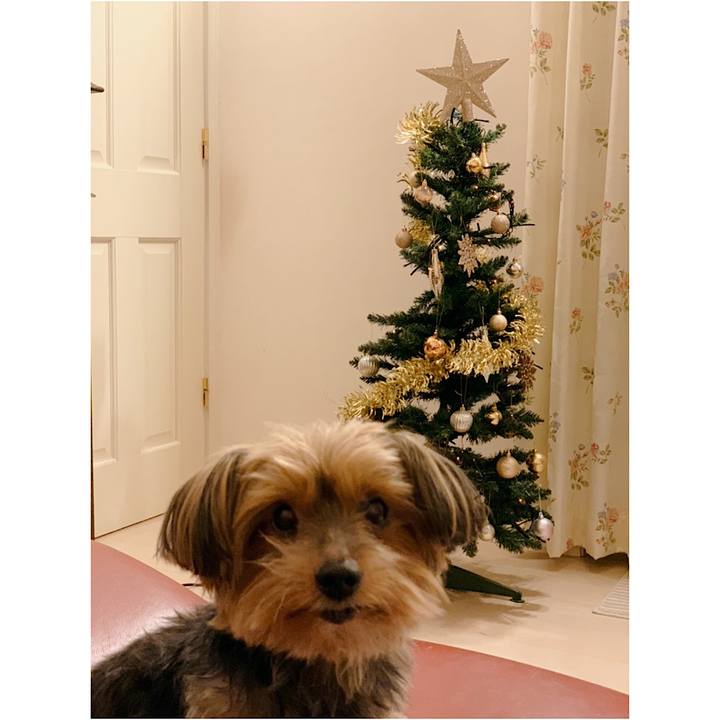 441e6177 3a2b 4c66 9400 eb636cb1ff1d 1607762775945