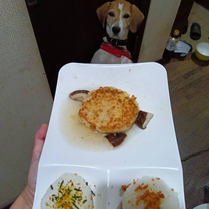 441e80cf 3c46 43ff b258 fbd03286b9e2 1728304338775