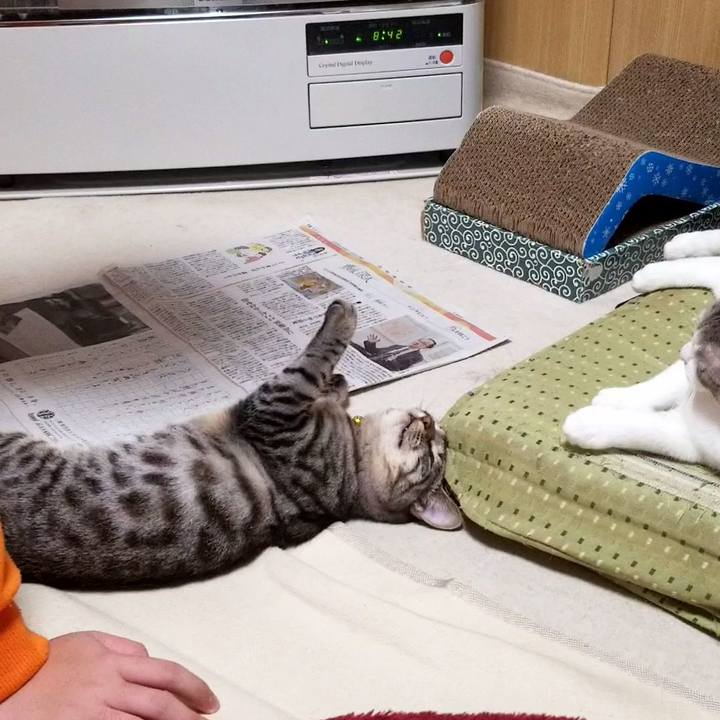 441e861b 838c 4d53 9228 676555eb9ec0 1674485876098