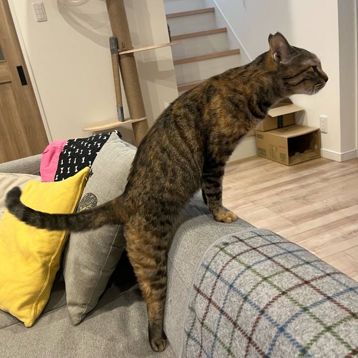 441e89f4 005e 4591 bac5 cb1b271889e5 1728969668541