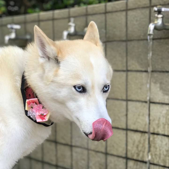 441e9e15 281c 4b4c 90f1 03a22d049eb4 1653879820475