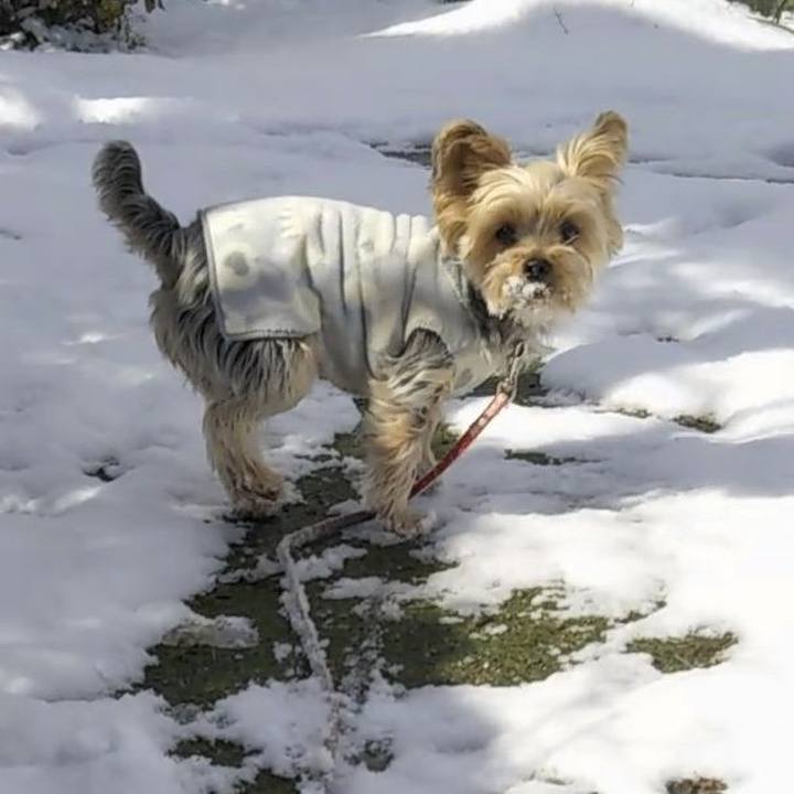 441ecd4d e81a 4bc9 8215 65a25e0967ae 1674719819649