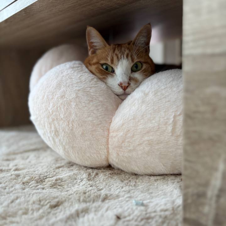 441f1662 7f52 4fbf 8d8d 1ebacfaf4dad 1756367923292