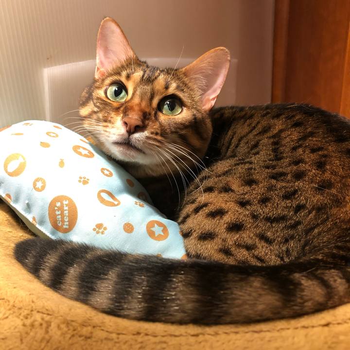 441f5533 191c 4c50 b565 b218d90dd43b 1628945163330