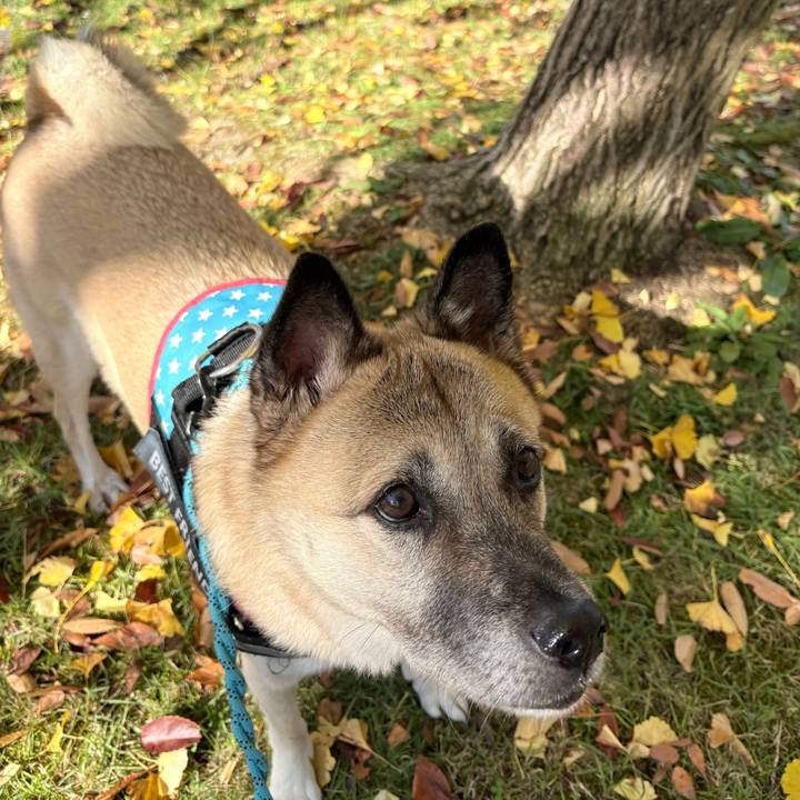 441f7ca9 1d7a 4298 ac5f 3515fd51917d 1763901396876