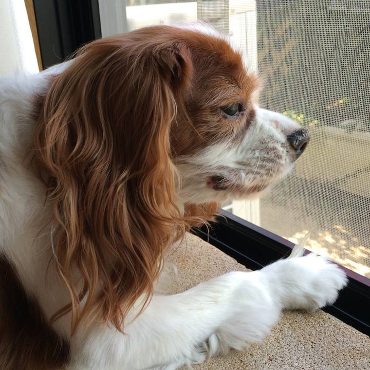 441fabb9 2777 43cc a3fc 7c915369f965 1538911977169