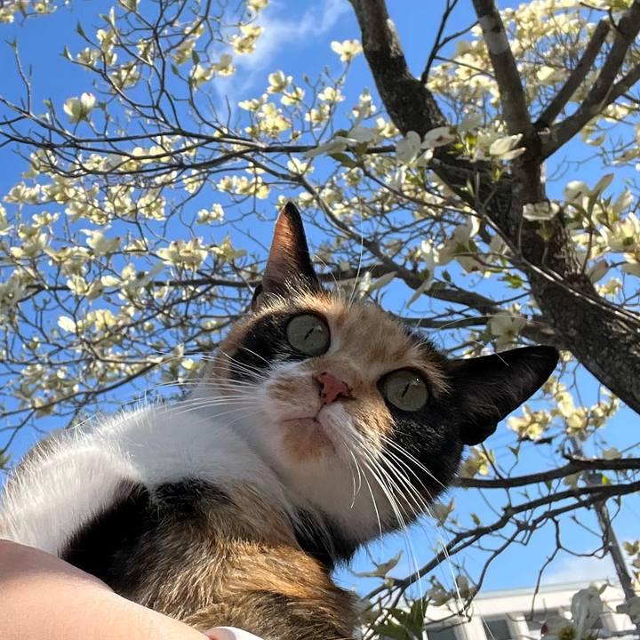 441fae1c 9e28 4e76 882f fc69cb027596 1651532097455