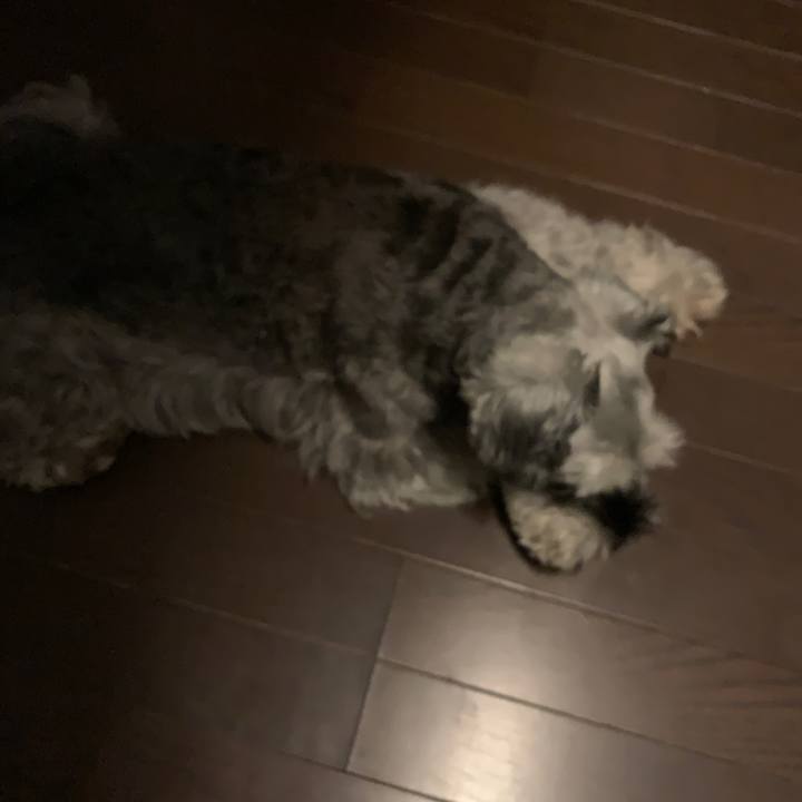 441fe7fa 7756 460f b626 666065f5b055 1663405495067