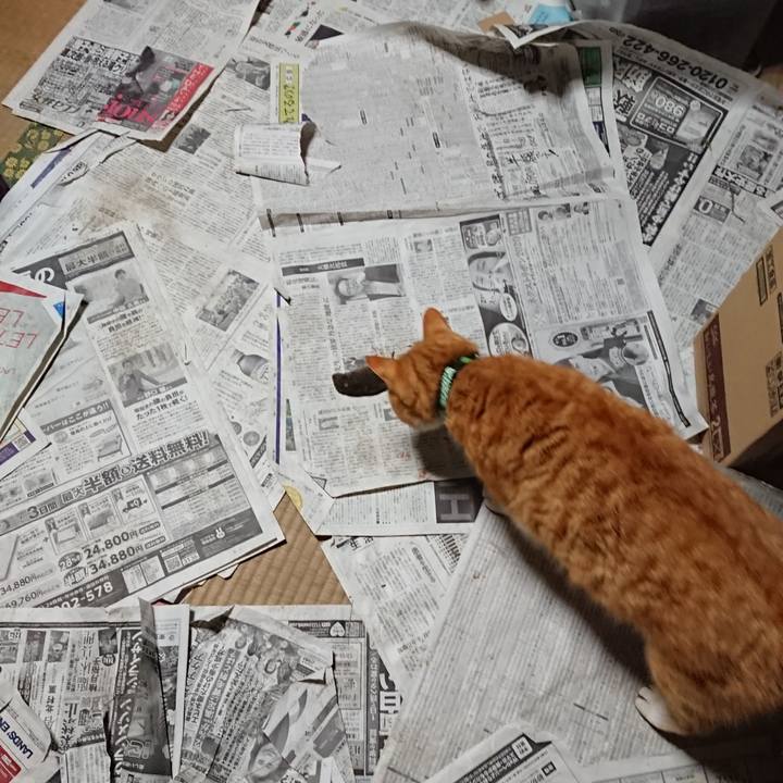 441fea8a 42bc 4187 815f 094c0f00e6aa 1580159555461