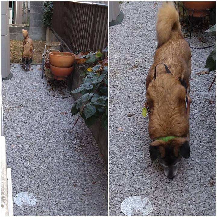 441ff0e8 1f5b 4ba6 bf35 adb7852efc50 1547682808950