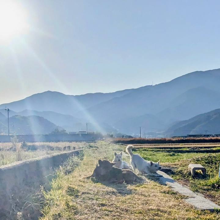 442021db 9067 4009 8412 31972b6799c0 1771573724811