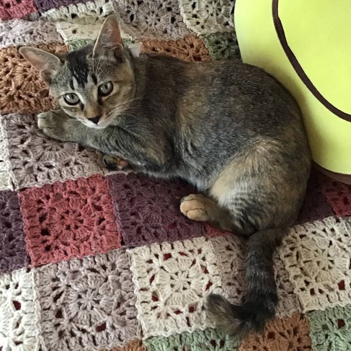 442053df 3a7c 4135 ae5c 424a66647065 1662210969595