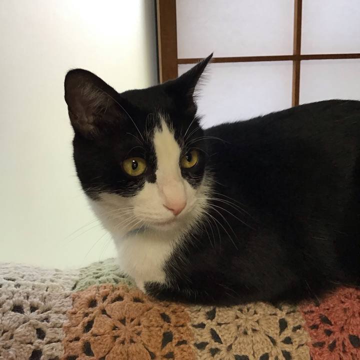 44209d49 3fac 4418 a7b5 963e28bce383 1697797793105