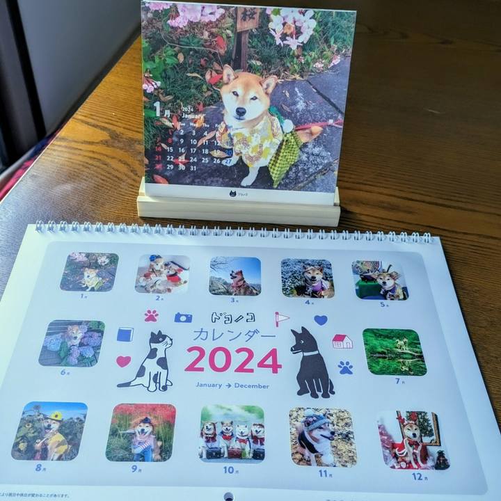 44210141 6bd7 4f1f ba17 abd0b89cda31 1702525412011