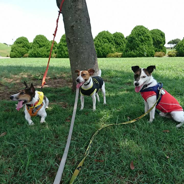 44211934 7d97 411a bc7c 682c9279d348 1533966128282