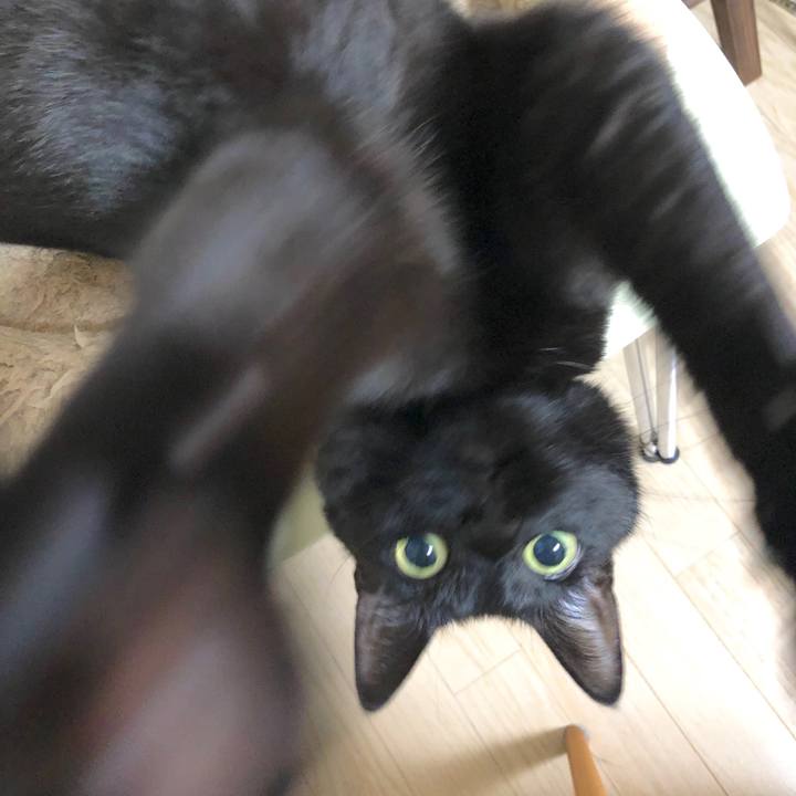 44212933 5941 4842 89c7 8bb245b9d95f 1587981466780