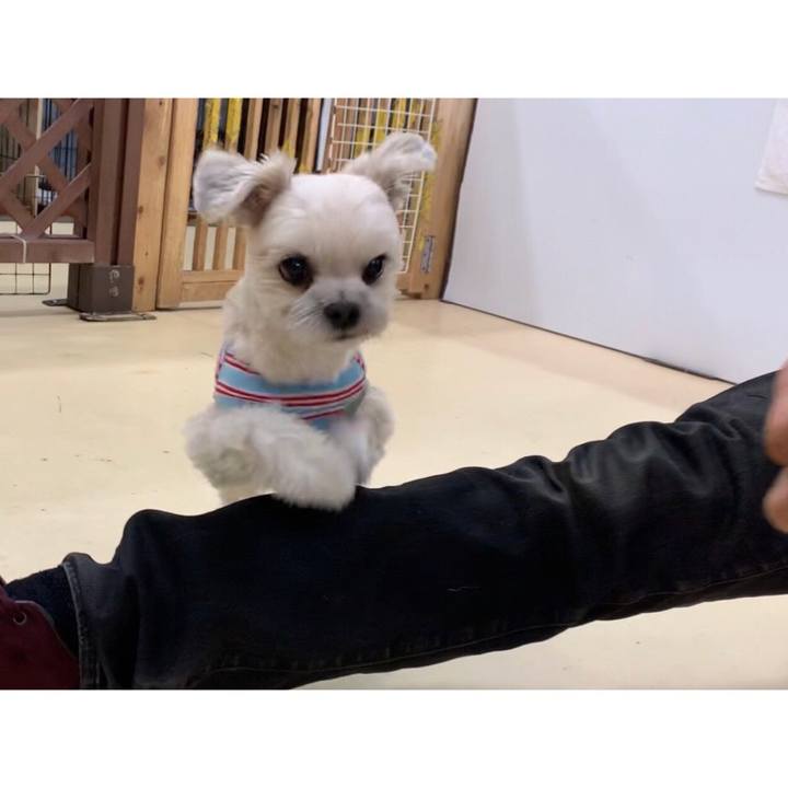 44212f47 cc37 4ff6 bce3 16ba9660e5ab 1552989664200